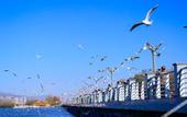 Туры в отель FANKOO Hotel