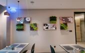 Туры в отель Homeinn Selected Hotel (Yanzhou Maochang Century Ginza Plaza)