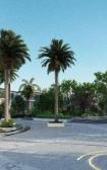 Туры в отель HUALUXE Hotels and Resorts BEIHAI SILVER BEACH RESORT