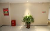 Туры в отель Motel Hotel (Tai'an Daimiao Donghu Branch)