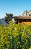 Туры в отель Kongjie Valley