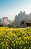 Туры в отель Kongjie Valley
