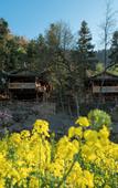 Туры в отель Kongjie Valley