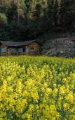 Туры в отель Kongjie Valley
