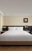 Туры в отель Mehood Lestie Hotel (Guangzhou Panyu Flagship)