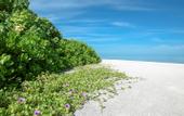 Туры в отель Makunudu Island
