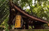 Туры в отель Smiley's Long Time No See Hostel - Kuanzhai