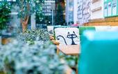 Туры в отель Smiley's Long Time No See Hostel - Kuanzhai
