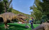 Туры в отель WYNDHAM GRAND PLAZA ROYALE HOT SPRINGS RESORT LIYANG