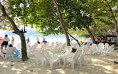 Туры в отель Malibu Garden Resort