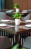 Туры в отель Mehood Lestie Hotel(Guangzhou Hanxi Chimelong)