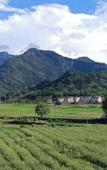 Туры в отель Wangxian Valley Qingchuanxingguan - Wangxian Valley Scenic Area
