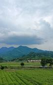 Туры в отель Wangxian Valley Qingchuanxingguan - Wangxian Valley Scenic Area