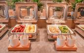 Туры в отель Licheng Borei Hotel (Guangzhou Olympic Sports Center International Financial City Branch)