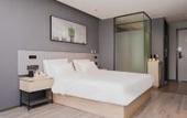 Туры в отель Shankee Hotel (Zhengzhou Erqi Wanda Plaza Wanghuzhai Subway Station)