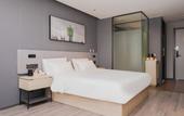 Туры в отель Shankee Hotel (Zhengzhou Erqi Wanda Plaza Wanghuzhai Subway Station)