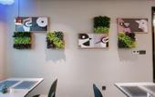 Туры в отель Homeinn Selected Hotel (Jining Yutai Feiyue Times Square)