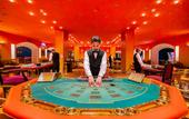 Туры в отель Domina Coral Bay Resort, Diving , Spa & Casino