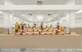 Туры в отель Domina Coral Bay Resort, Diving , Spa & Casino