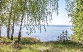 Туры в отель «Белый Яр» база отдыха