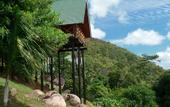 Туры в отель Mango Lodge