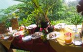 Туры в отель Mango Lodge