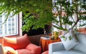 Туры в отель M Panda Tower Boutique Hotel