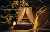Туры в отель M Panda Tower Boutique Hotel