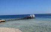 Туры в отель Mangrove Bay Resort
