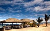 Туры в отель Mangrove Bay Resort
