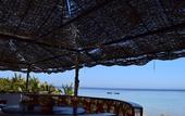 Туры в отель Mangrove Bay Resort
