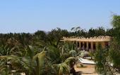 Туры в отель Mangrove Bay Resort