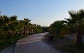 Туры в отель Mangrove Bay Resort
