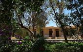 Туры в отель Mangrove Bay Resort
