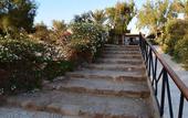 Туры в отель Mangrove Bay Resort
