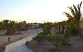 Туры в отель Mangrove Bay Resort
