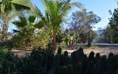 Туры в отель Mangrove Bay Resort