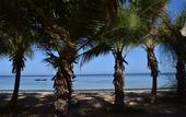 Туры в отель Mangrove Bay Resort