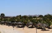 Туры в отель Mangrove Bay Resort