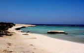 Туры в отель Mangrove Bay Resort