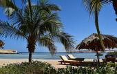 Туры в отель Mangrove Bay Resort