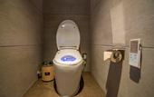 Туры в отель LIZ International Hotel Panyu Ginza Shiqiao Metro Branch - Free Shuttle Bus to Canton Fair Complex D