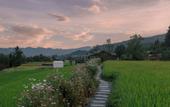 Туры в отель Trip.com Group Country Retreats (Zhang Jiajie Manson Joint Resort)