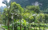 Туры в отель TUI BLUE Yangshuo Xiangheli Hotel