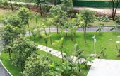 Туры в отель TUI BLUE Yangshuo Xiangheli Hotel