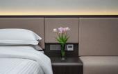 Туры в отель Sentraland Pengyue Garden International
