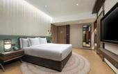 Туры в отель Zhuhai Hengqin Hotel Indigo