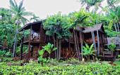 Туры в отель Manukan Island Resort