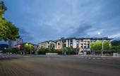 Туры в отель Suichang Tanggong Redison Plaza Hotel