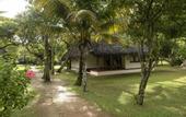 Туры в отель Marari Beach Resort
